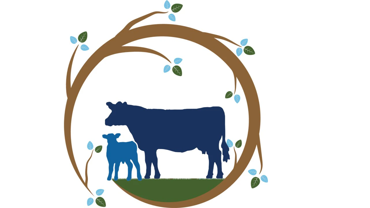 Veterinary supplies in KSA - Agrimatco